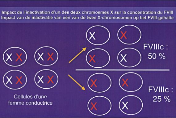 AHVH 016 Inactivation