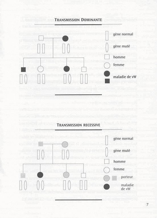 AHVH 003 herediteFR