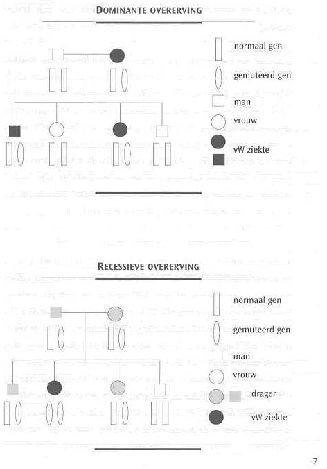 AHVH 004 herediteNL